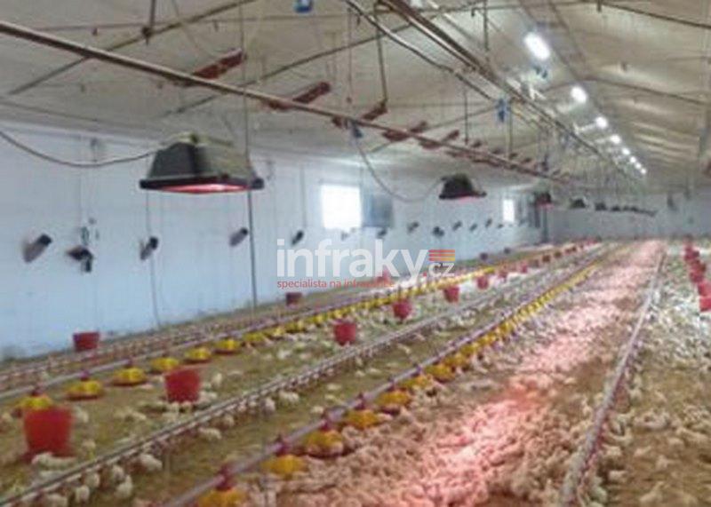 Infrazářič - Chioccia 778