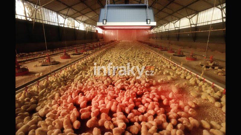 Infrazářič - Chioccia 778