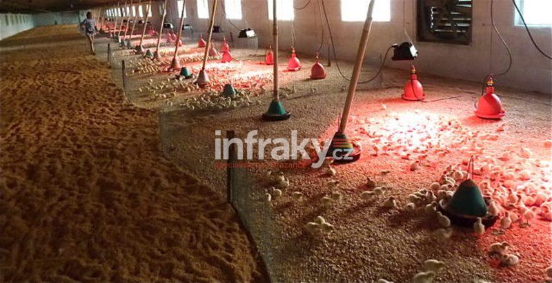 Infrazářič - Chioccia 778